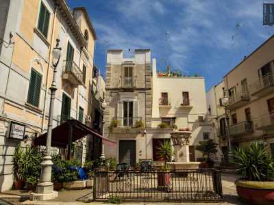 Mentre nella piccola piazza Risorgimento trova spazio un ipogeo adibito in passato a frantoio, di cui alcuni locali risalgono addirittura al Medioevo